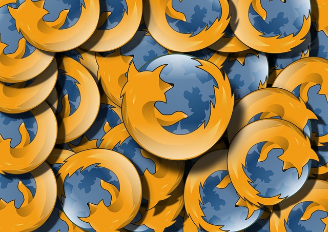 Mozilla Firefox Geçmişi Nası Silinir?