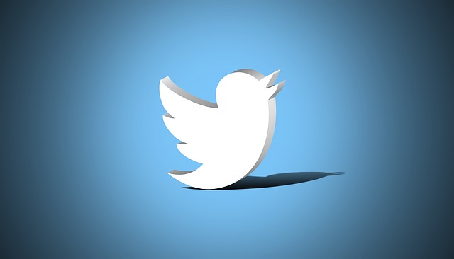 2020 | Twitter’dan Yeni Profil Önerme Dönemi!