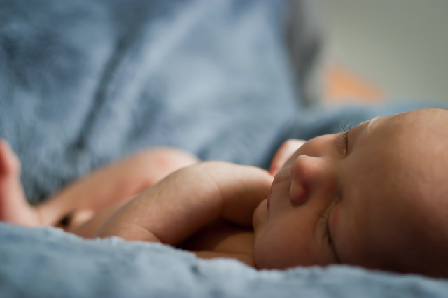 görüntülü bebek telsizi seçimi: brion vega ip bebek kamerası