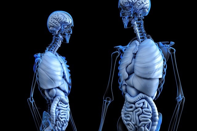 Tıp Teknolojisinin Gözdesi: Çip Organlar