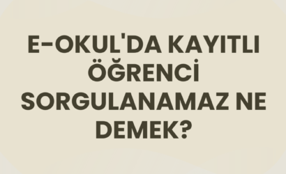 e-okul'da kayıtlı öğrenci sorgulanamaz ne demek?