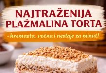 Najtrazenija plazma torta Najtrazenija plazma torta - featured image