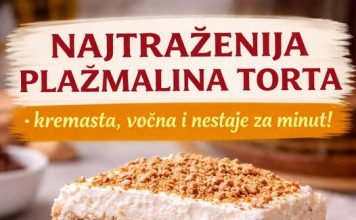 Najtrazenija plazma torta Najtrazenija plazma torta - featured image