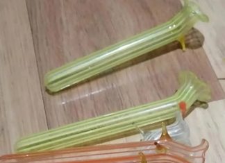 Našla sam ovo u bakinim kuhinjskim ormarićima — bila sam iznenađena kada sam saznala šta je to.