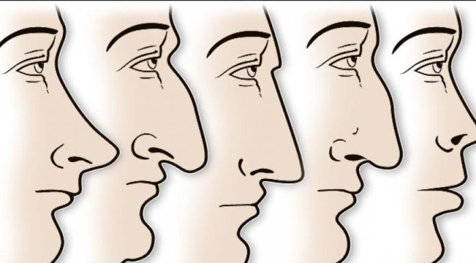 ZVUČI ČUDNO, ALI JE ISTINITO: Evo šta OBLIK NOSA govori O VAMA! Svima je pogodilo