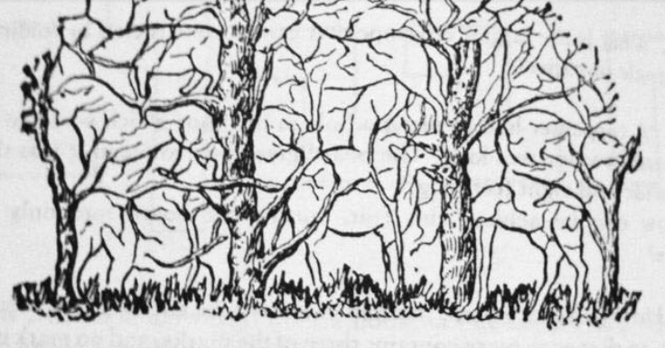 Prva životinja koju vidite na ilustraciji otkriće vam apsolutno sve o vašoj ličnosti i to bez greške - featured image Prva životinja koju vidite na ilustraciji otkriće vam apsolutno sve o vašoj ličnosti i to bez greške - featured image