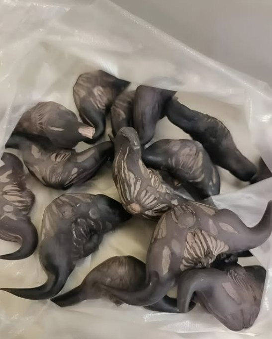 Strani susjedi su mi dali ovo i poželjeli mi „prijatno“, ali bilo je nešto tvrdo i uopće nije ličilo na hranu, više kao jaje. - featured image Strani susjedi su mi dali ovo i poželjeli mi „prijatno“, ali bilo je nešto tvrdo i uopće nije ličilo na hranu, više kao jaje. - featured image