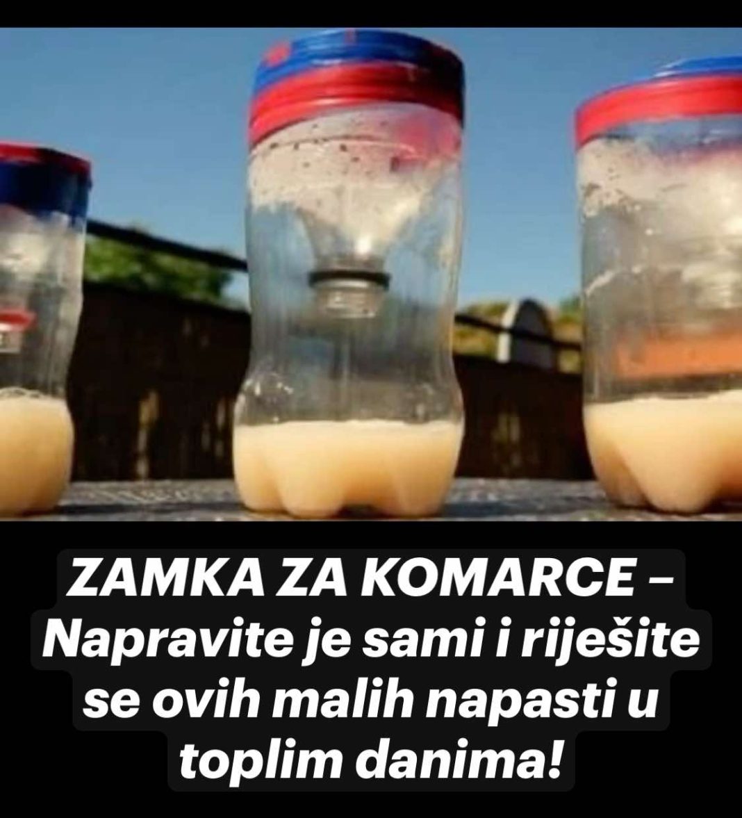 ZAMKA ZA KOMARCE – Napravite je sami i riješite se ovih malih napasti u toplim danima! - featured image ZAMKA ZA KOMARCE – Napravite je sami i riješite se ovih malih napasti u toplim danima! - featured image