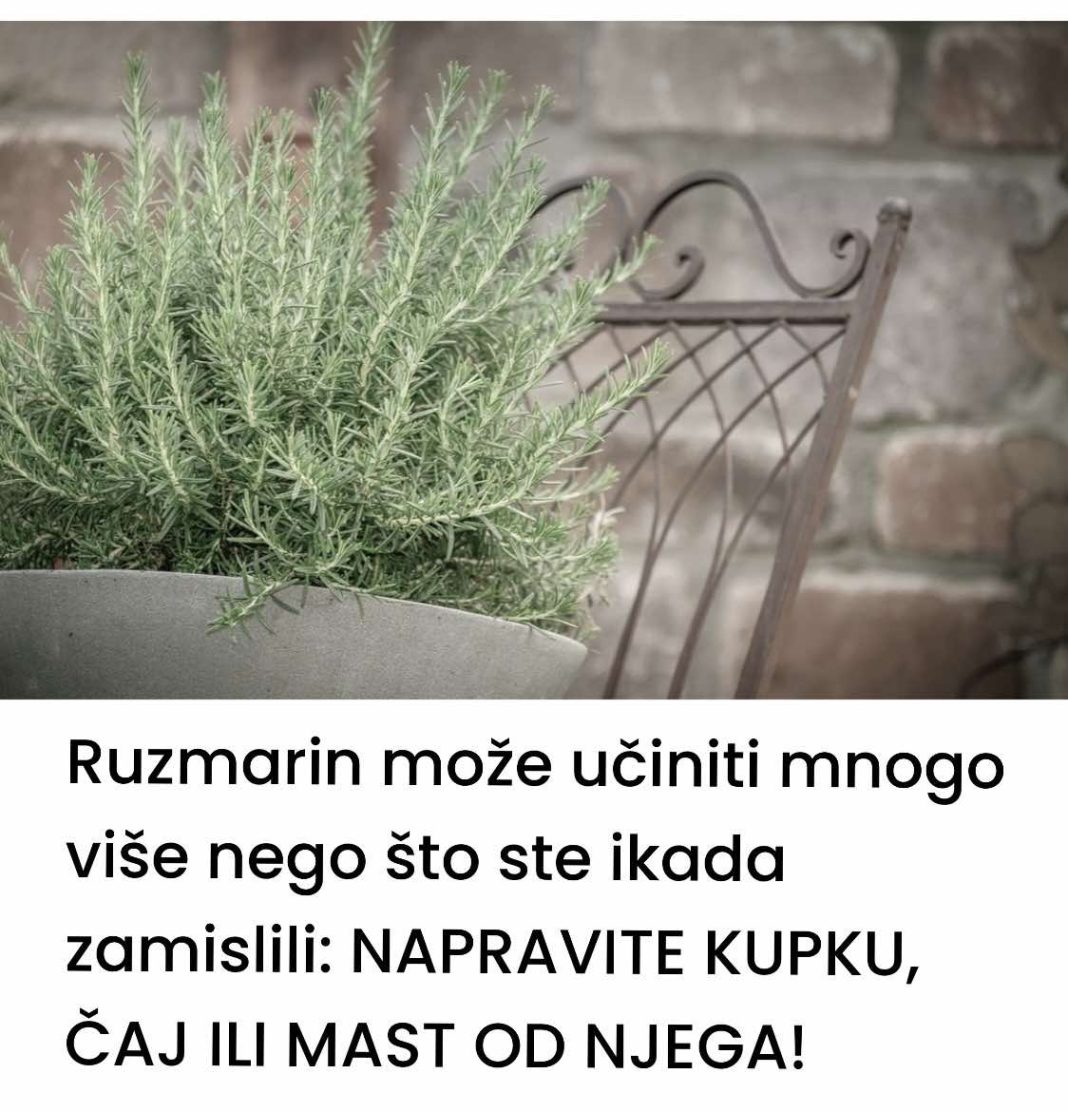 Ruzmarin može učiniti mnogo više nego što ste ikada zamislili: NAPRAVITE KUPKU, ČAJ ILI MAST OD NJEGA! - featured image Ruzmarin može učiniti mnogo više nego što ste ikada zamislili: NAPRAVITE KUPKU, ČAJ ILI MAST OD NJEGA! - featured image