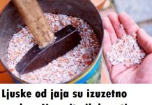 Ljuske od jaja su izuzetno vredne: Nemojte ih bacati – Sprečavaju osteoporozu, oporavljaju štitnjaču, normaliziraju rad mišića.. Ljuske od jaja su izuzetno vredne: Nemojte ih bacati – Sprečavaju osteoporozu, oporavljaju štitnjaču, normaliziraju rad mišića.. - featured image