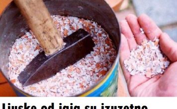 Ljuske od jaja su izuzetno vredne: Nemojte ih bacati – Sprečavaju osteoporozu, oporavljaju štitnjaču, normaliziraju rad mišića.. Ljuske od jaja su izuzetno vredne: Nemojte ih bacati – Sprečavaju osteoporozu, oporavljaju štitnjaču, normaliziraju rad mišića.. - featured image
