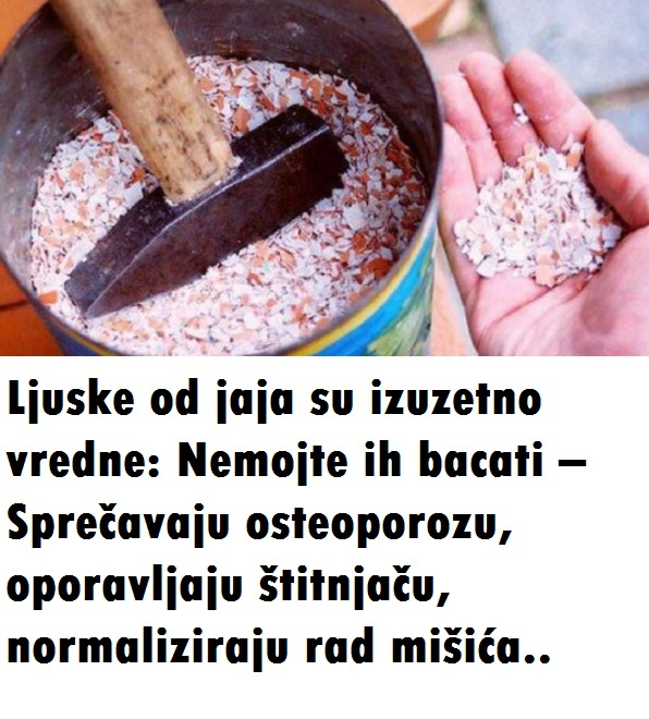 Ljuske od jaja su izuzetno vredne: Nemojte ih bacati – Sprečavaju osteoporozu, oporavljaju štitnjaču, normaliziraju rad mišića.. - featured image Ljuske od jaja su izuzetno vredne: Nemojte ih bacati – Sprečavaju osteoporozu, oporavljaju štitnjaču, normaliziraju rad mišića.. - featured image