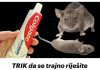 TRIK da se trajno riješite pacova i miševa u kući pomoću paste za zube: Neće se više približiti kući! TRIK da se trajno riješite pacova i miševa u kući pomoću paste za zube: Neće se više približiti kući! - featured image