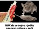 TRIK da se trajno riješite pacova i miševa u kući pomoću paste za zube: Neće se više približiti kući! TRIK da se trajno riješite pacova i miševa u kući pomoću paste za zube: Neće se više približiti kući! - featured image