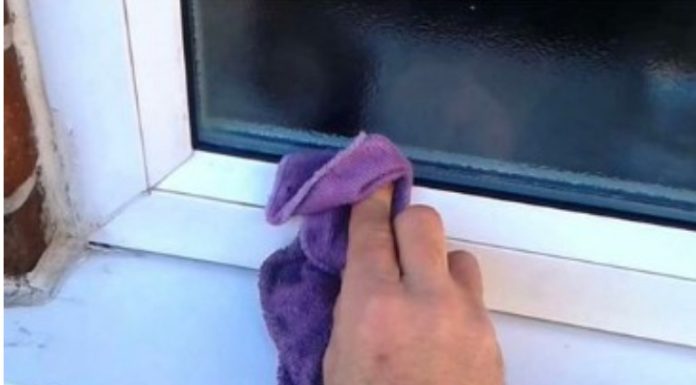 SAMO ISKUSNE DOMAĆICE ZNAJU DA SE PVC VRATA ČISTE UZ POMOĆ OVE VOĆKE: Oribaće svu MASNOĆU i FLEKE za tren oka SAMO ISKUSNE DOMAĆICE ZNAJU DA SE PVC VRATA ČISTE UZ POMOĆ OVE VOĆKE: Oribaće svu MASNOĆU i FLEKE za tren oka - featured image