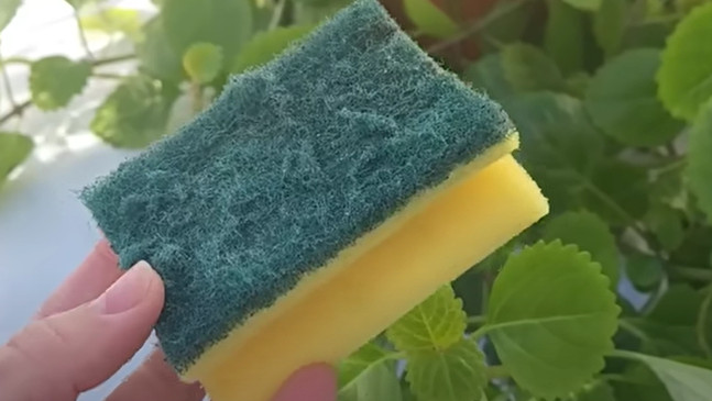 Ne bacajte stari sunđer: Malo ko zna koliko je zapravo koristan u kući - featured image