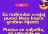 VIC DANA: Mujo i svekrva VIC DANA: Mujo i svekrva - featured image