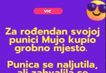 VIC DANA: Mujo i svekrva VIC DANA: Mujo i svekrva - featured image