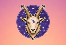 3 Zodiac Signs Most Likely to Regret Losing Capricorn