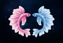 3 Zodiac Signs Who Would Drop Everything for Pisces