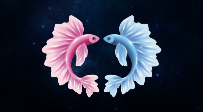 3 Zodiac Signs Who Would Drop Everything for Pisces