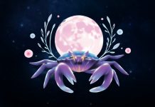 3 Zodiac Signs Who Would Drop Everything for Cancer