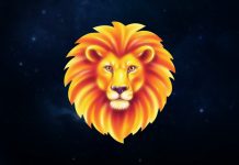 3 Zodiac Signs Who Would Drop Everything for Leo