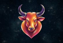 3 Zodiac Signs That Could Be Taurus’ Unexpected Soulmate 3 Zodiac Signs That Could Be Taurus' Unexpected Soulmate