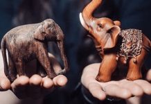Gdje postaviti figuricu slona u domu i šta njen položaj, prema tradiciji, znači za mir i blagostanje Gdje postaviti figuricu slona u domu i šta njen položaj, prema tradiciji, znači za mir i blagostanje - featured image